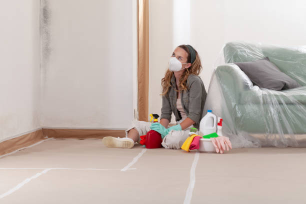Reliable Black Mold Removal contractor in Amityville, NY by WQB Mold Removal